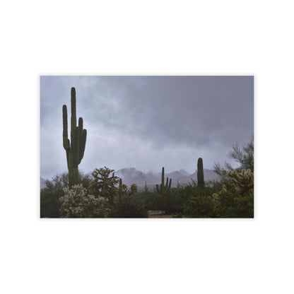 Wall Decals Desert morning fog