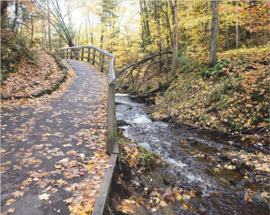 Acrylic Prints (French Cleat) Creekside Stroll