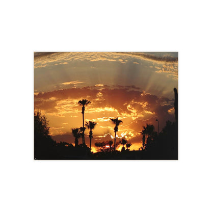 Ceramic Photo Tile - Palm Tree Sunrise