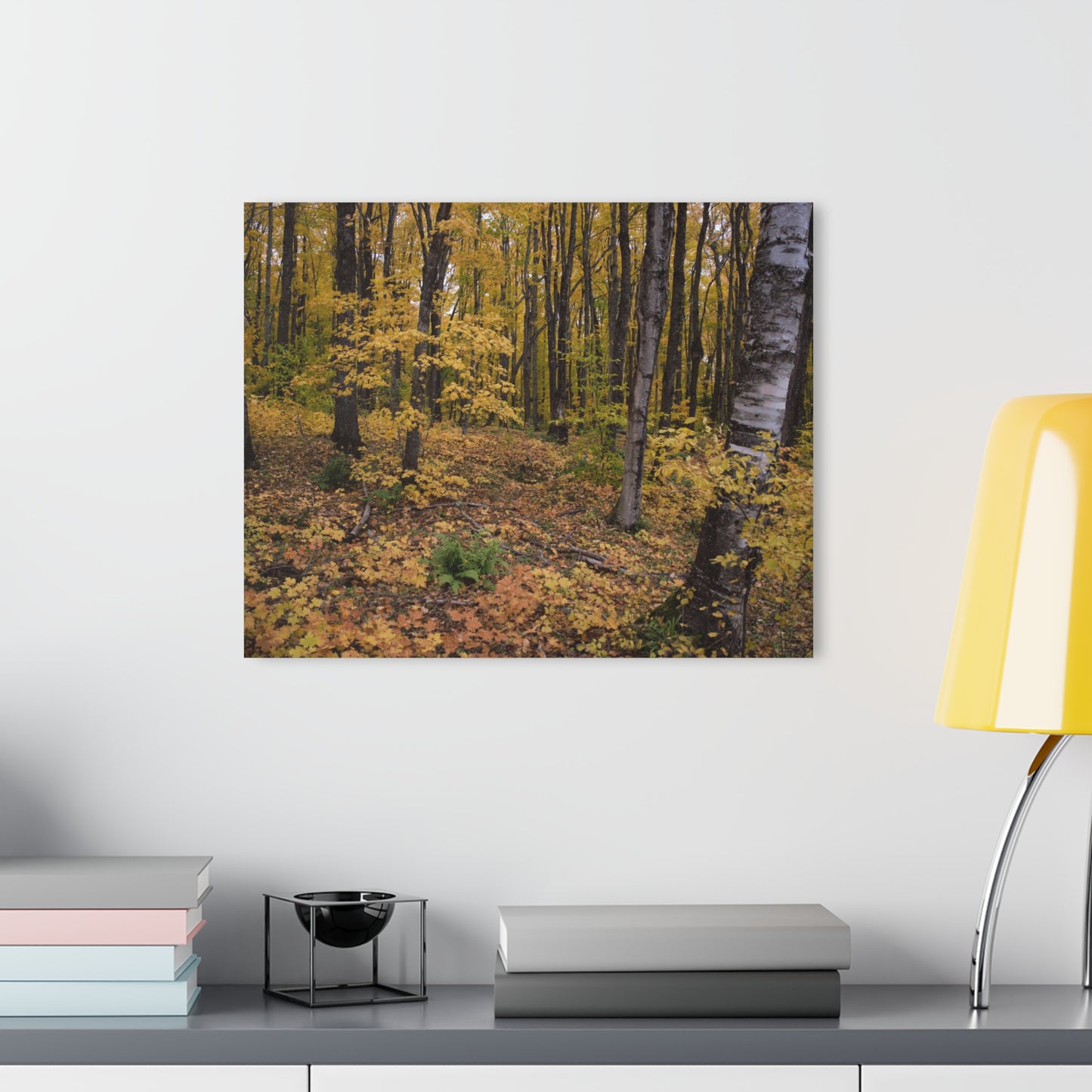 Acrylic Prints (French Cleat) Walk in the woods