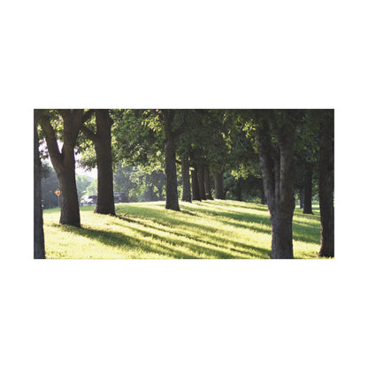Walk in the park Matte Canvas, Stretched, 1.25" 48" x 24", 32", 36"