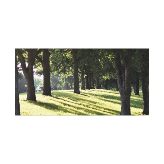 Walk in the park Matte Canvas, Stretched, 1.25" 48" x 24", 32", 36"