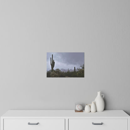 Wall Decals Desert morning fog