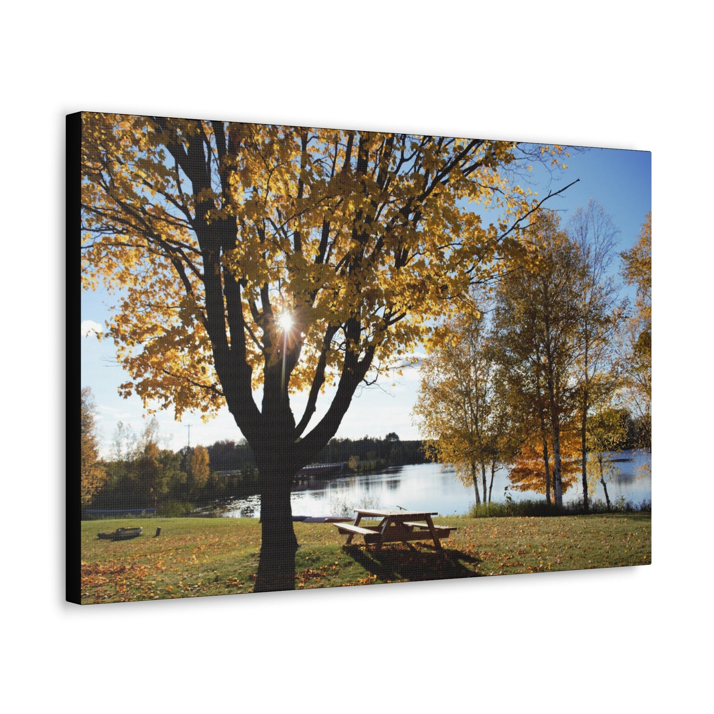 Canvas Gallery Wraps (Black Wrap) - Picinic by the river.