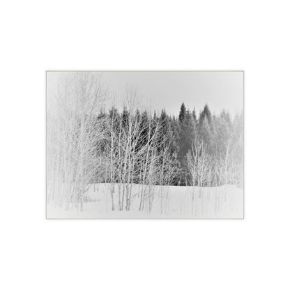 Ceramic Photo  Size 6" x 8"  Winter Field
