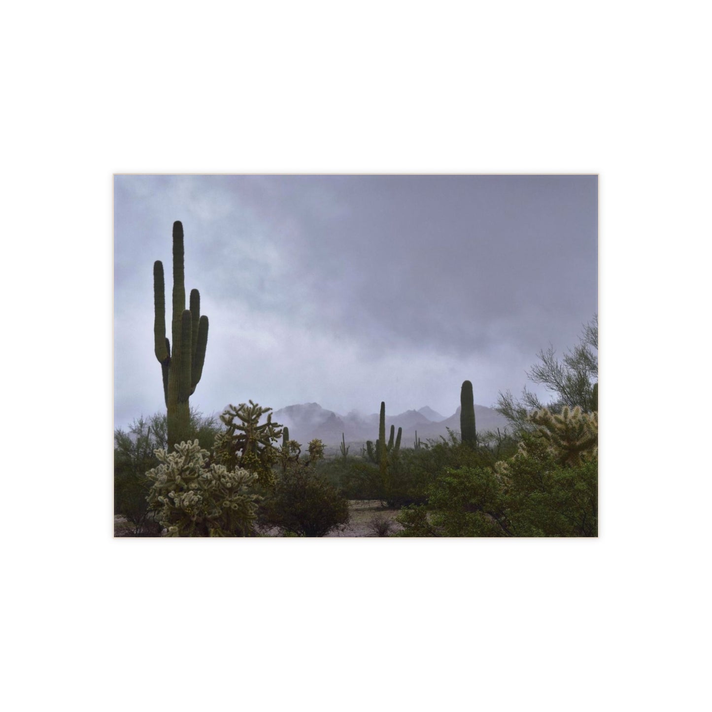 Ceramic Photo Tile - Foggy Desert