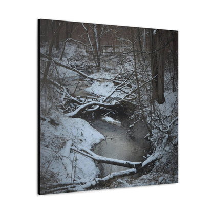 Canvas Gallery Wraps (Black Wrap) (Square) - Frozen pond in the park