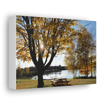 Canvas Gallery Wraps (White Wrap) - Fall picnic anyone