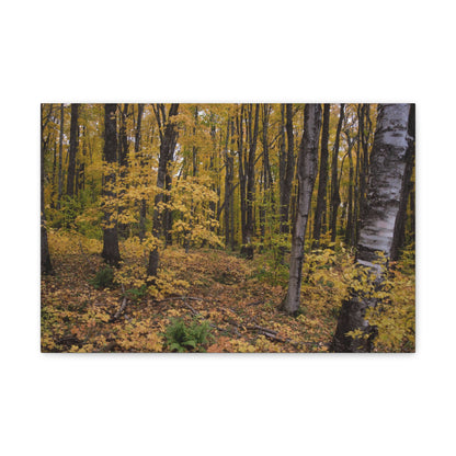 Canvas Gallery Wraps (White Wrap) - Golden Retreat