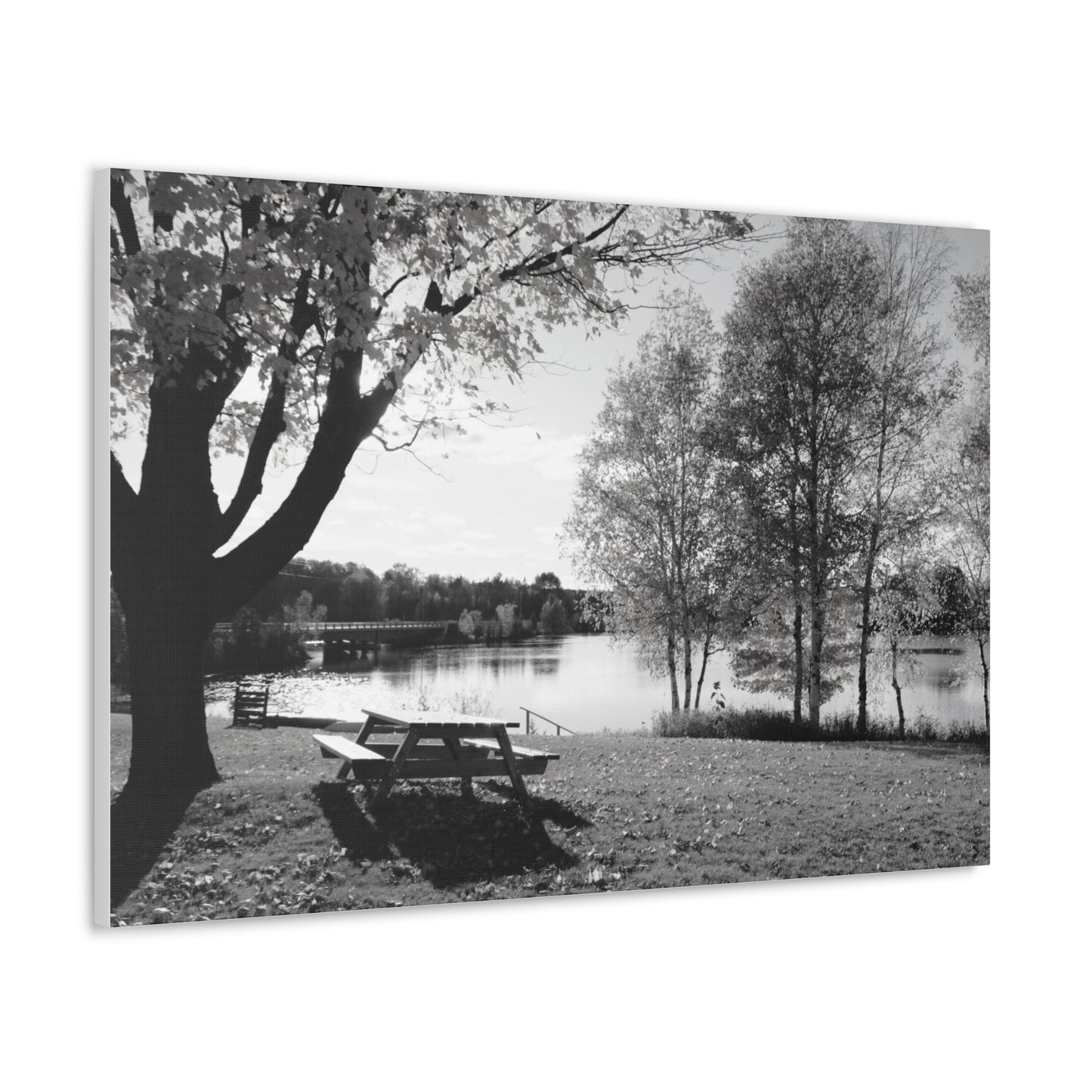 Canvas Gallery Wraps - Picinic by the river. Black and White