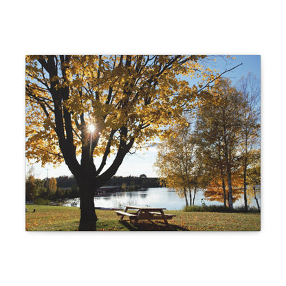 Canvas Gallery Wraps (White Wrap) - Fall picnic anyone