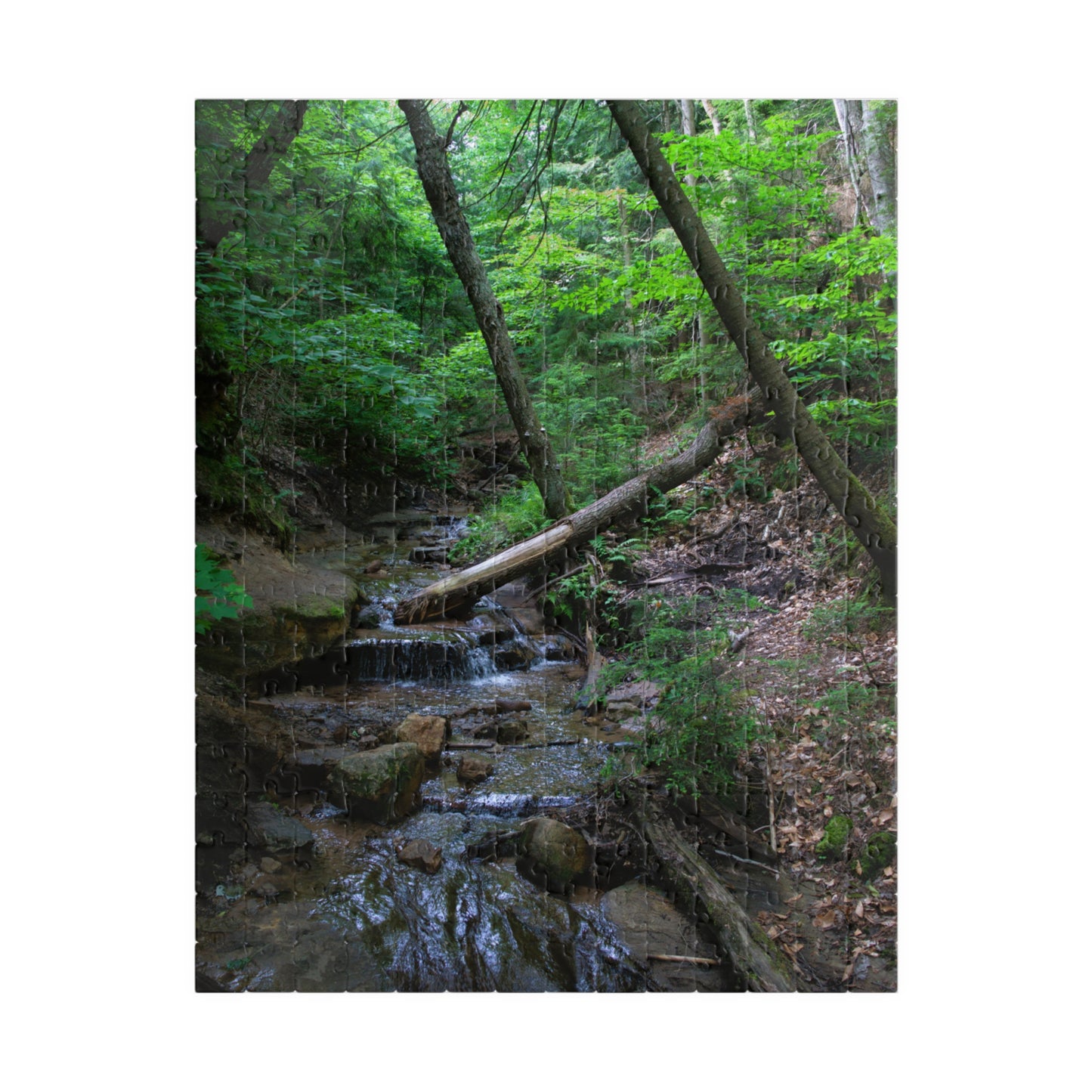 Puzzle (110, 252, 500, 1014-piece) Bonus Creek