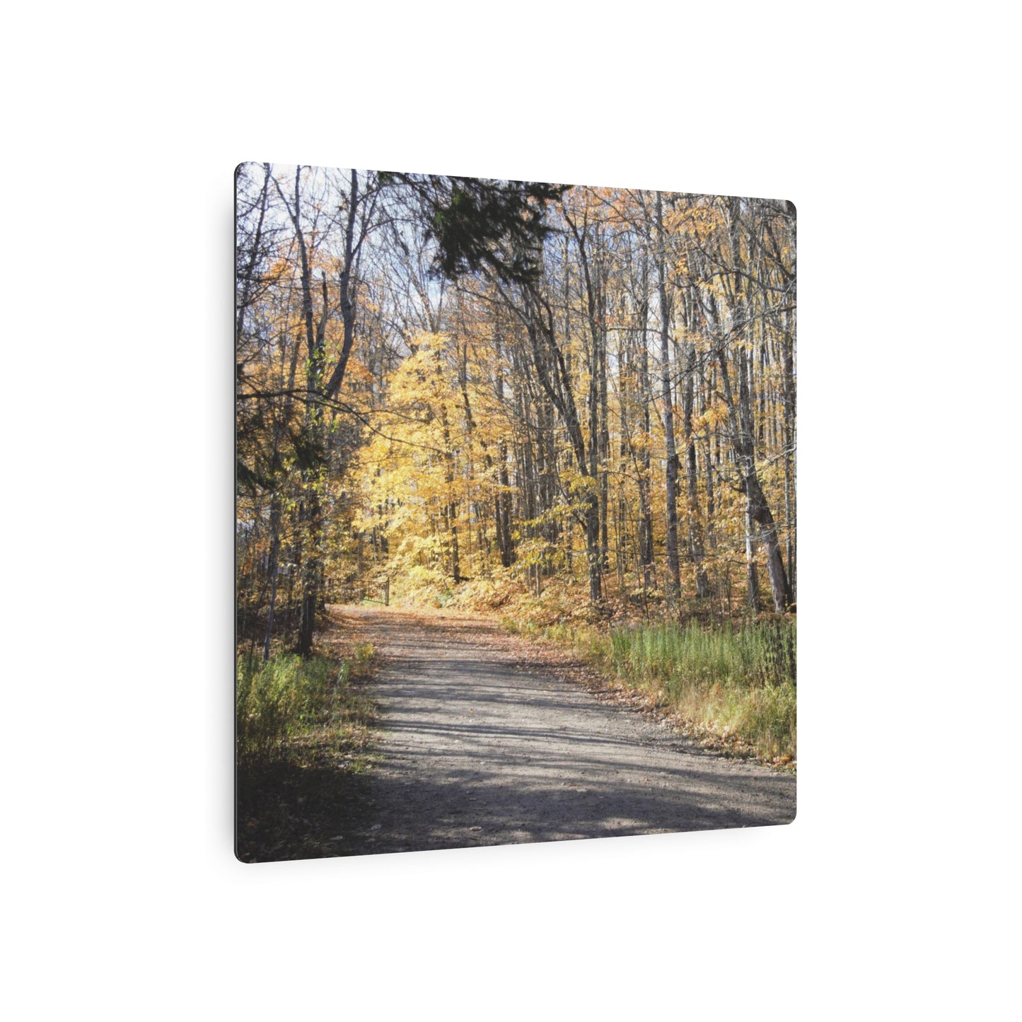 Metal Art Sign - Walk in the woods, Squares 8" x 8", 11" x 11", 12" x 12", 16" x 16"