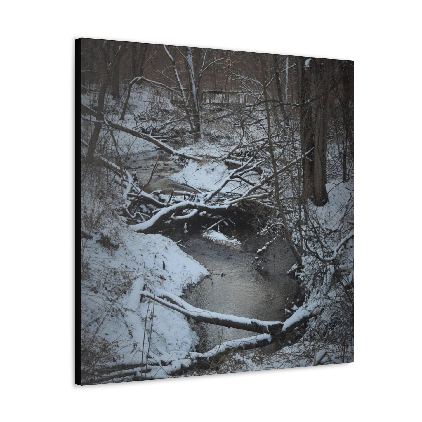 Canvas Gallery Wraps (Black Wrap) (Square) - Frozen pond in the park