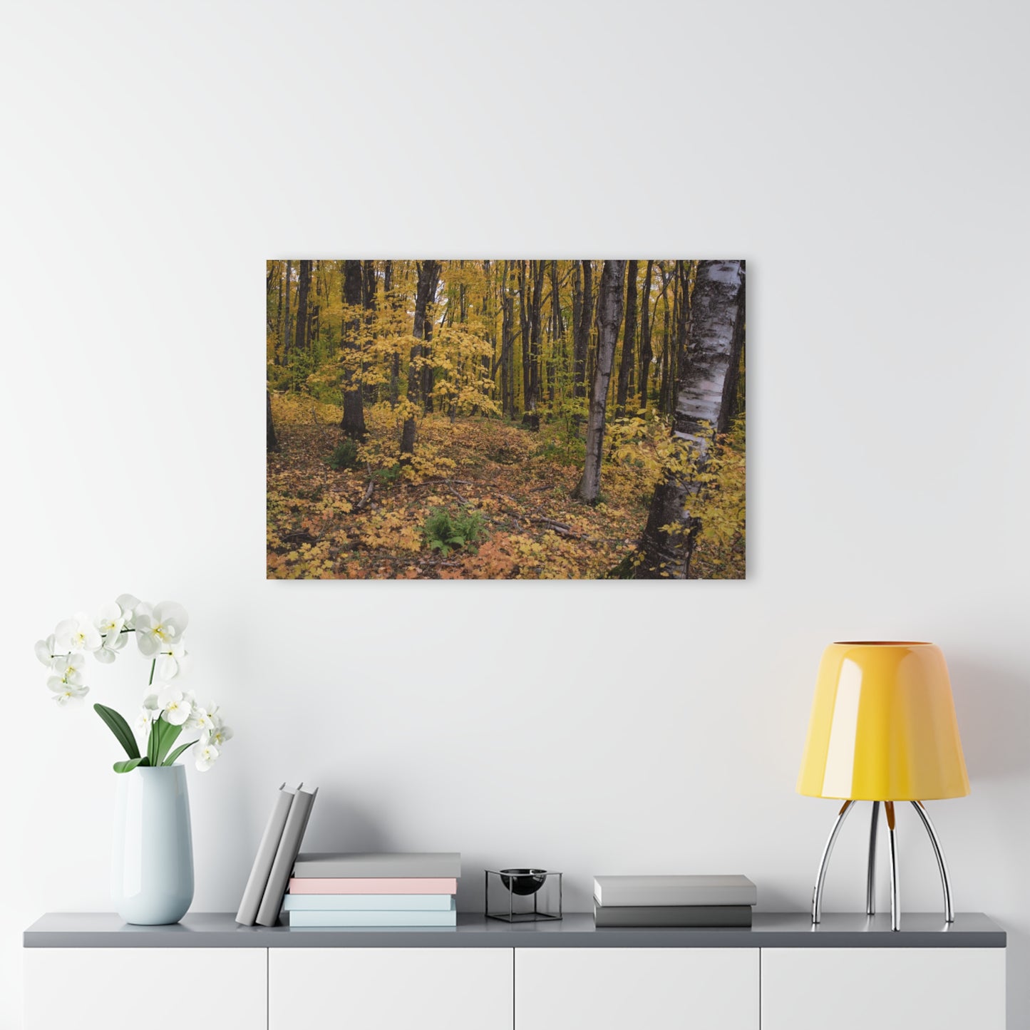 Acrylic Prints (French Cleat) Walk in the woods