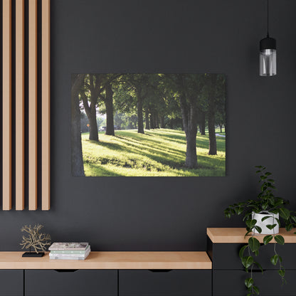 Walk in the park Matte Canvas, Stretched, 1.25" 48" x 24", 32", 36"