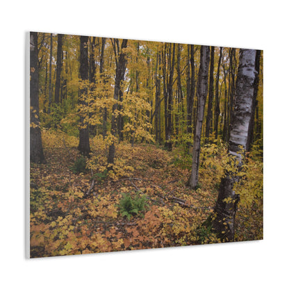 Canvas Gallery Wraps (White Wrap) - Golden Retreat