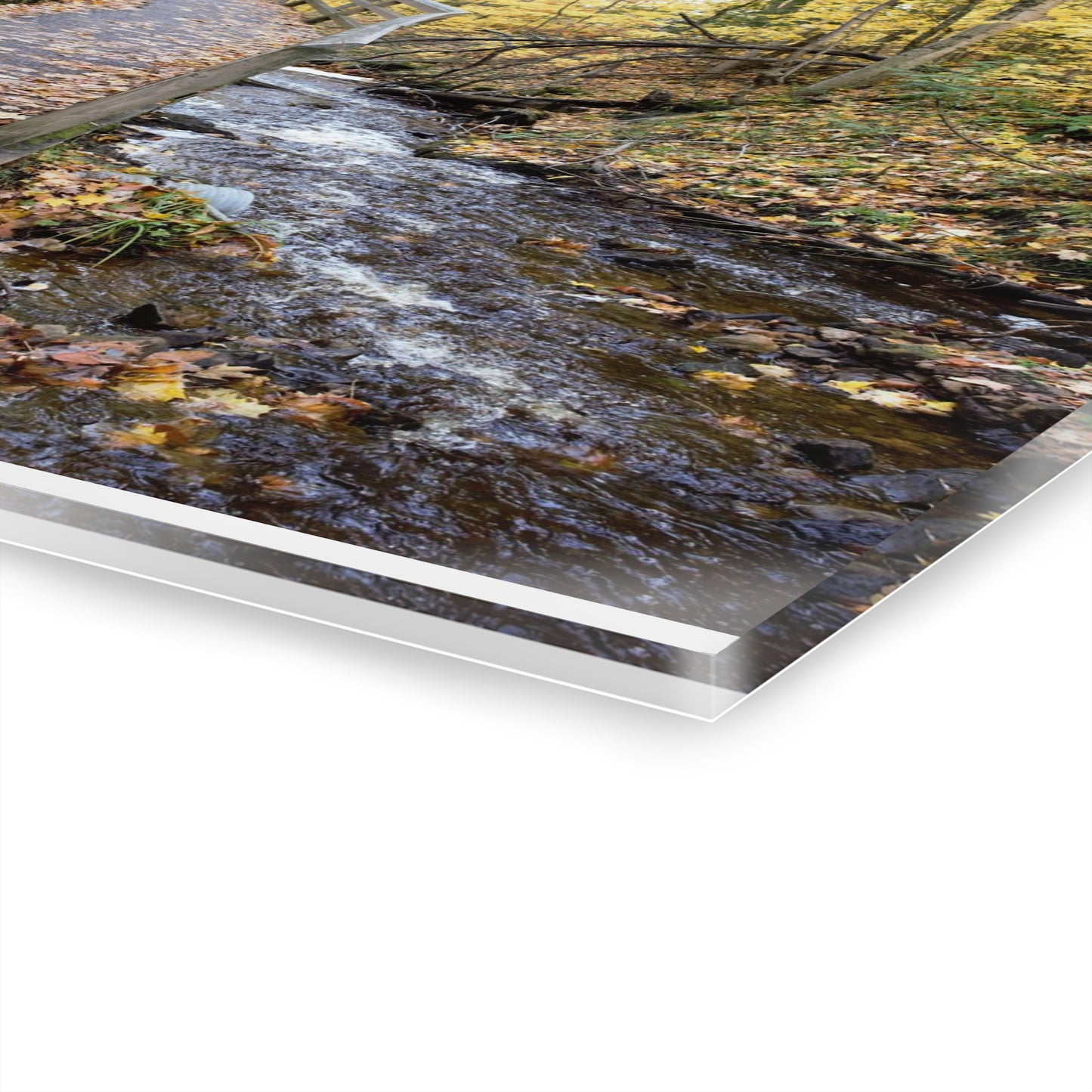 Acrylic Prints (French Cleat) Creekside Stroll
