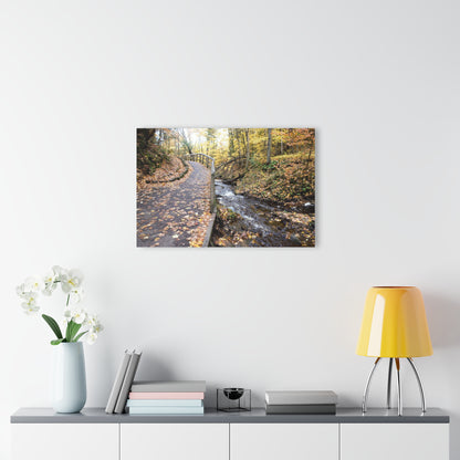 Acrylic Prints (French Cleat) Creekside Stroll
