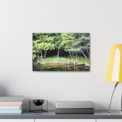 Canvas Gallery Wraps (White Wraps) Raw Nature