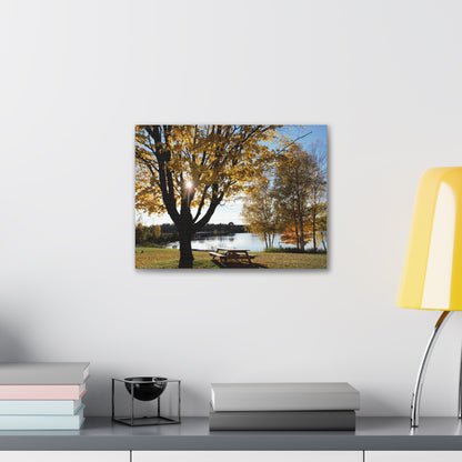 Canvas Gallery Wraps (White Wrap) - Fall picnic anyone