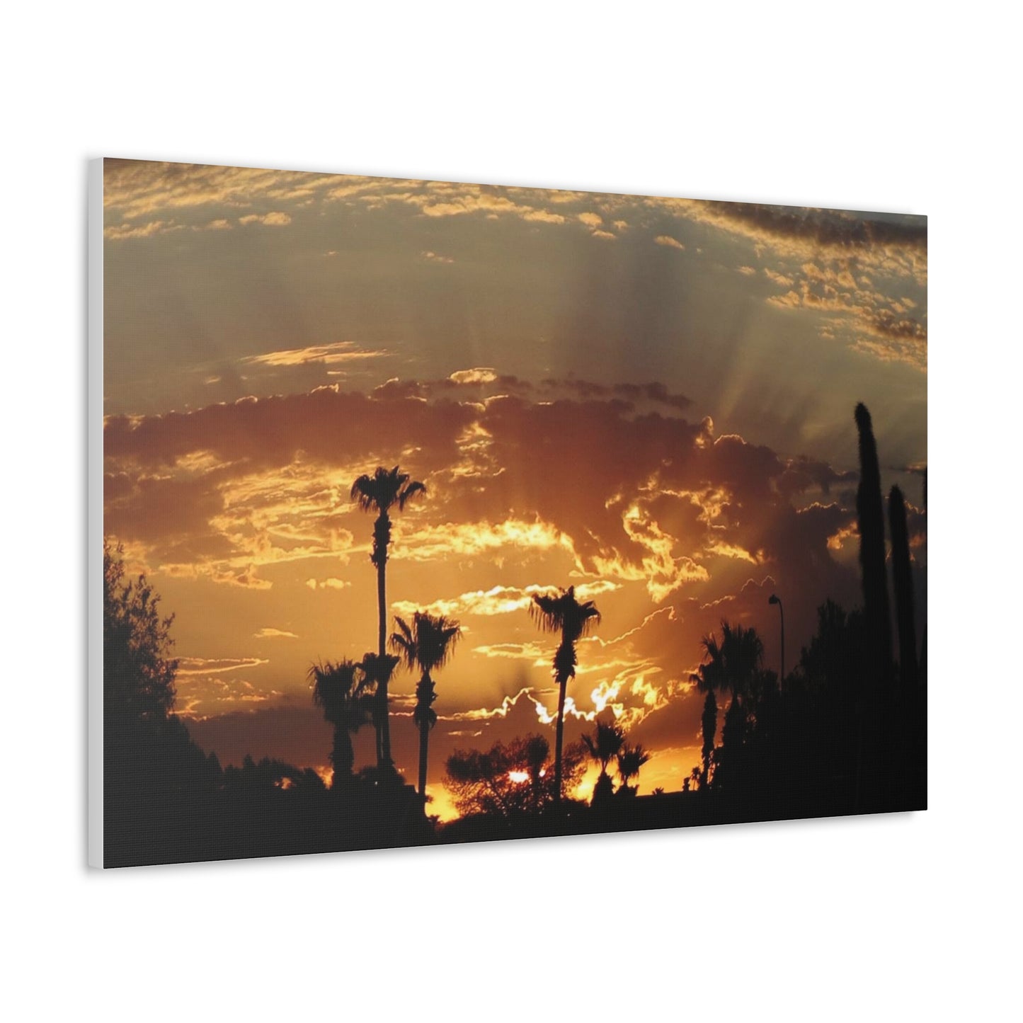 Canvas Gallery Wraps (White Wrap)