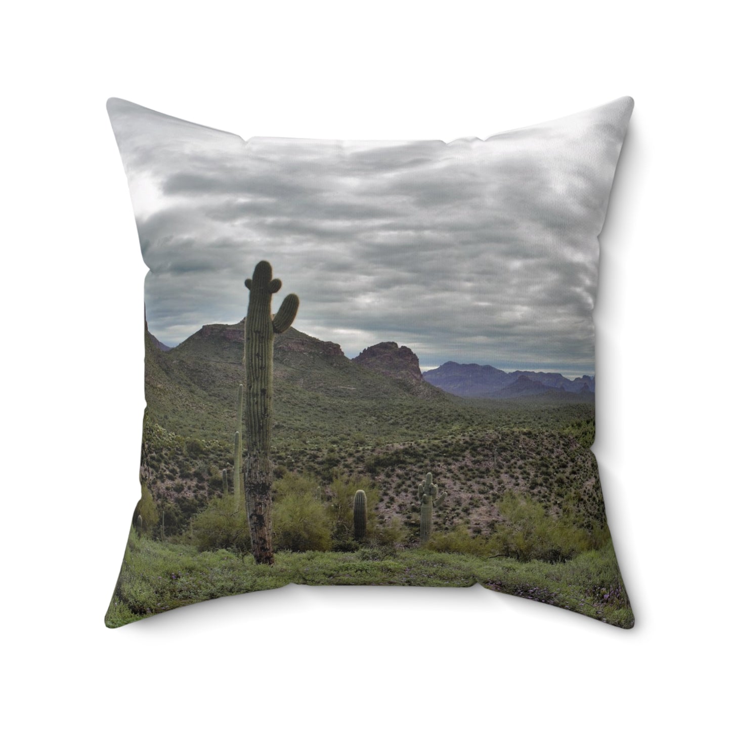 Spun Polyester Square Pillow - Views from the desert.