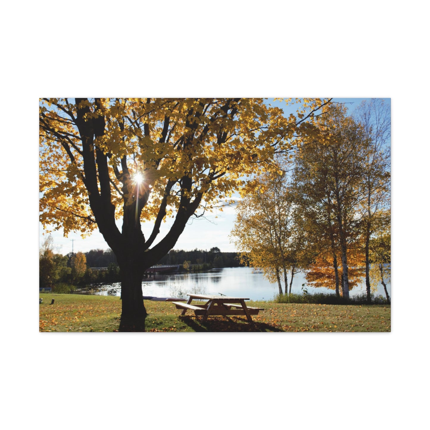 Canvas Gallery Wraps (White Wrap) - Fall picnic anyone