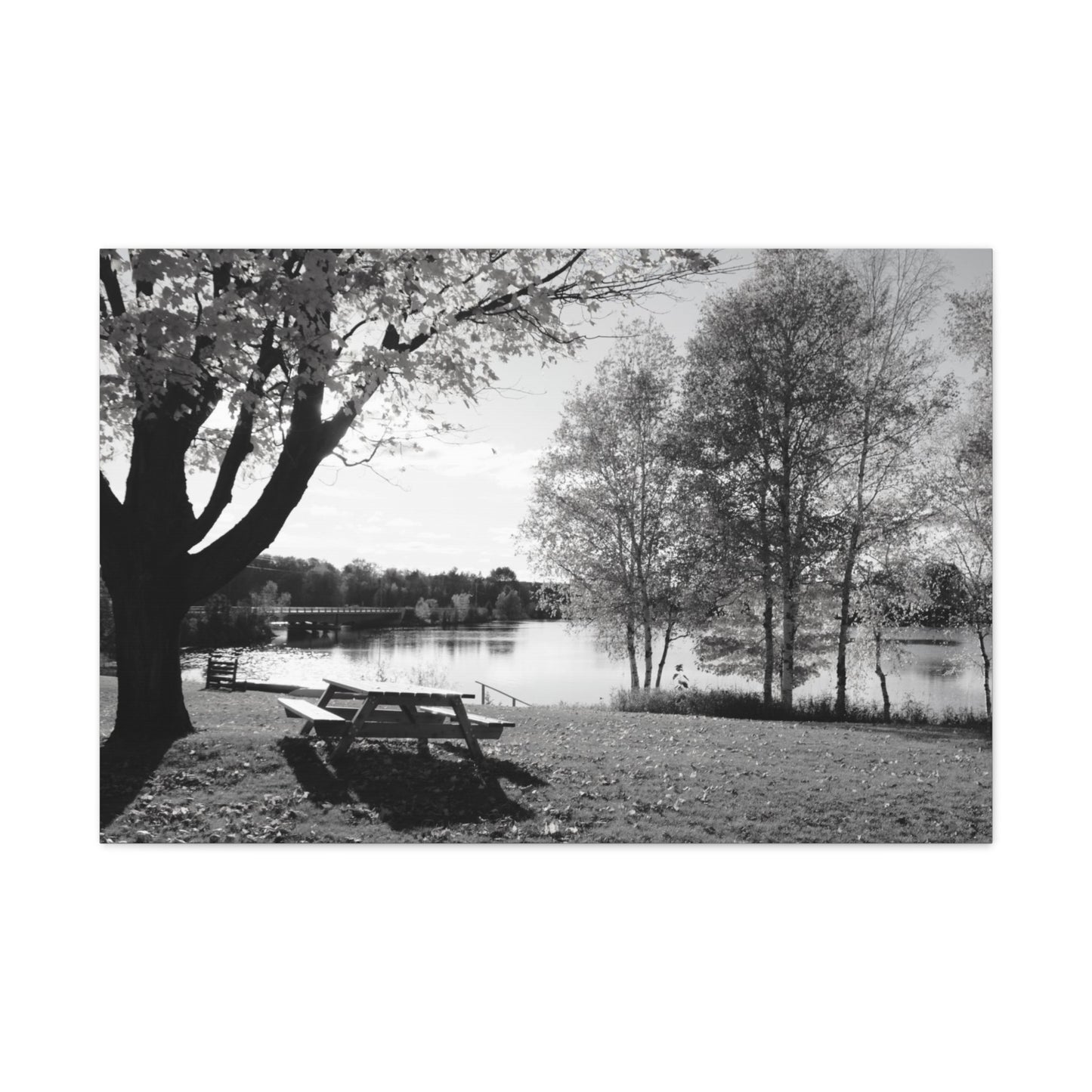 Canvas Gallery Wraps - Picinic by the river. Black and White