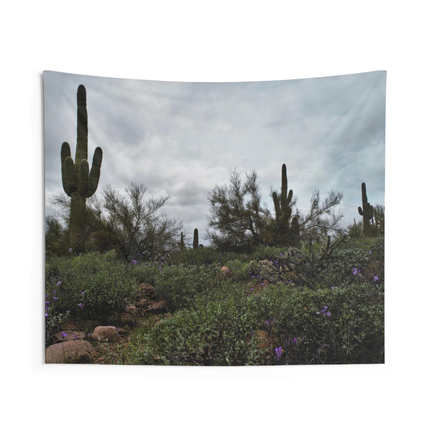Indoor Wall Tapestries Desert in the Spring