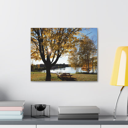 Canvas Gallery Wraps (White Wrap) - Fall picnic anyone