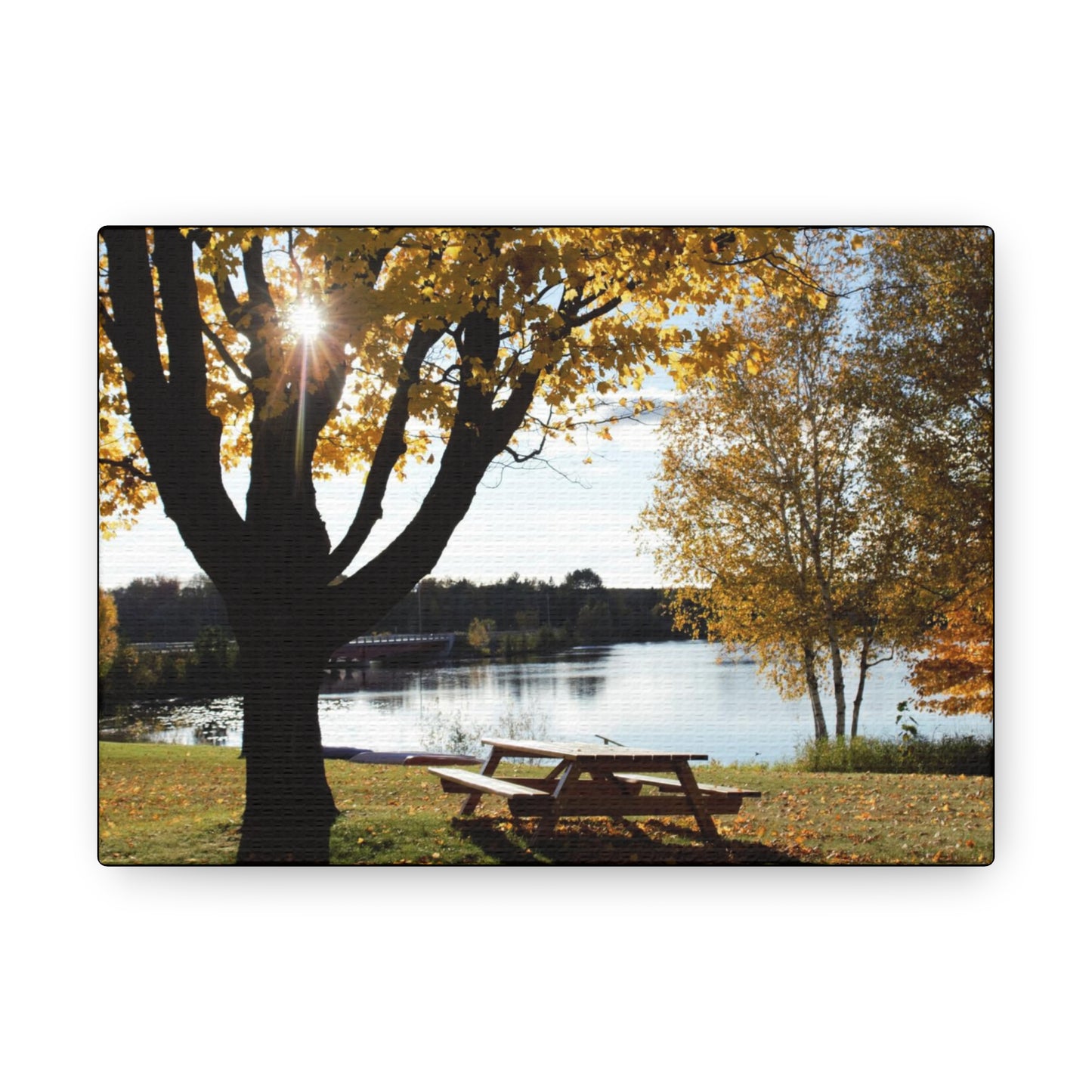 Canvas Gallery Wraps (Black Wrap) - Picinic by the river.