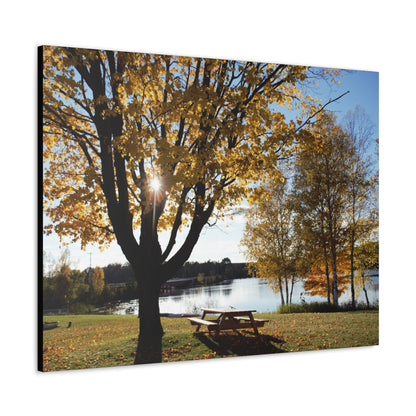 Canvas Gallery Wraps (Black Wrap) - Picinic by the river.