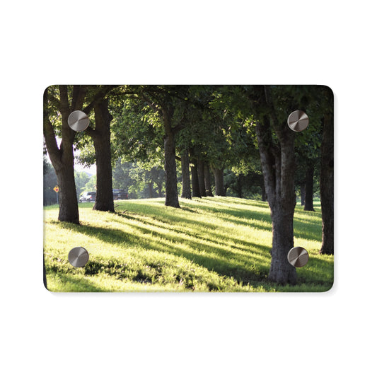 Acrylic Prints (Stand Off) - Walk in the park