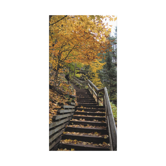 Stairway to Fall Matte Canvas, Stretched, 1.25" 48" x 24", 32", 36"