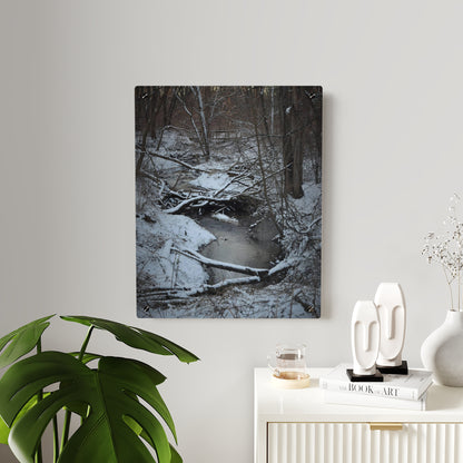 Acrylic Prints (Stand Off) - Frozen stream