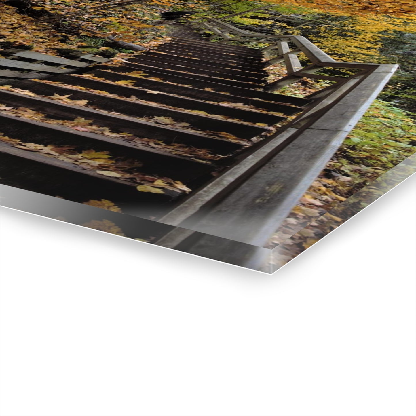 Acrylic Prints (French Cleat)  Stairway to Heaven