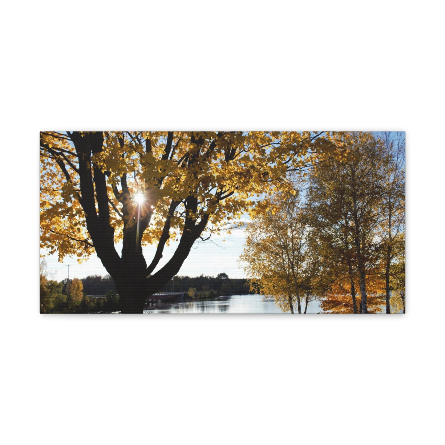 Canvas Gallery Wraps (White Wrap) - Fall picnic anyone