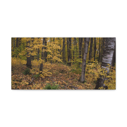 Canvas Gallery Wraps (White Wrap) - Golden Retreat