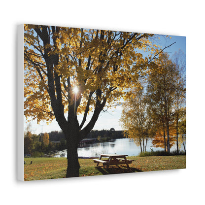 Canvas Gallery Wraps (White Wrap) - Fall picnic anyone