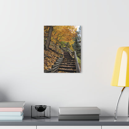 Acrylic Prints (French Cleat)  Stairway to Heaven, Home Decor, Wall Decor, Wall Art, Gift for Her, Nature Lover, Fall Season