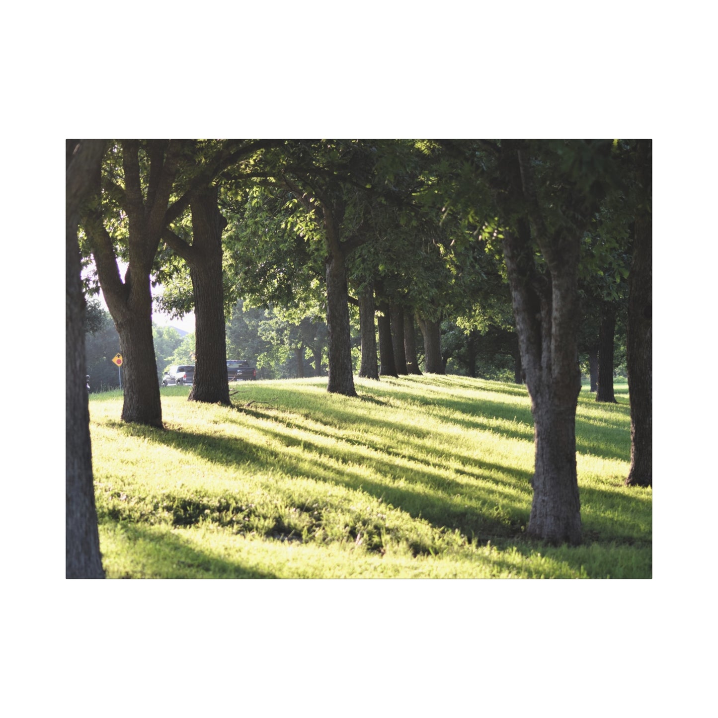 Walk in the park Matte Canvas, Stretched, 1.25" 48" x 24", 32", 36"