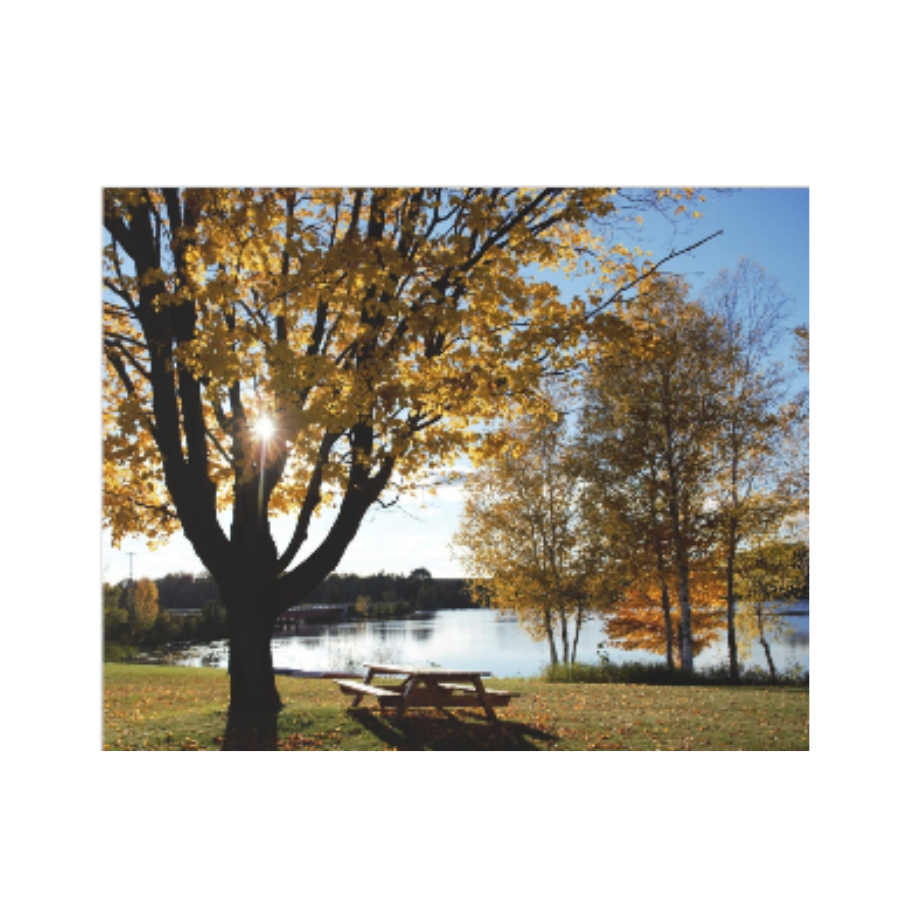 Acrylic Prints (French Cleat) Picnic by the river