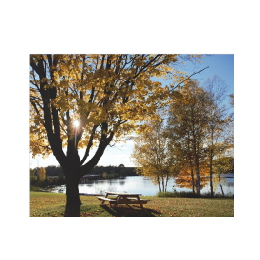 Acrylic Prints (French Cleat) Picnic by the river
