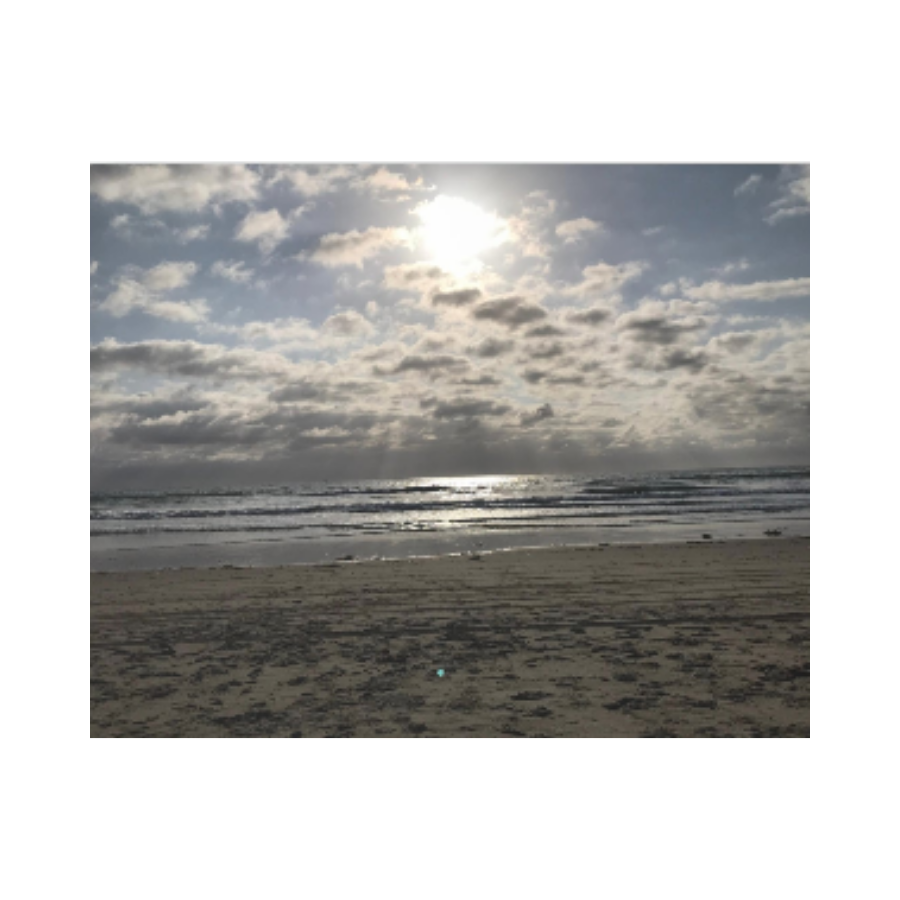 Acrylic Prints (French Cleat) Walk on the beach