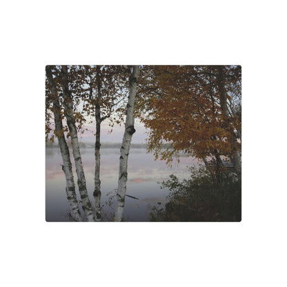 Metal Art Sign - River View White Birch