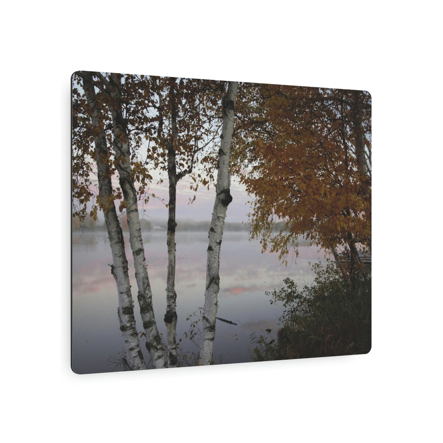 Metal Art Sign - River View White Birch