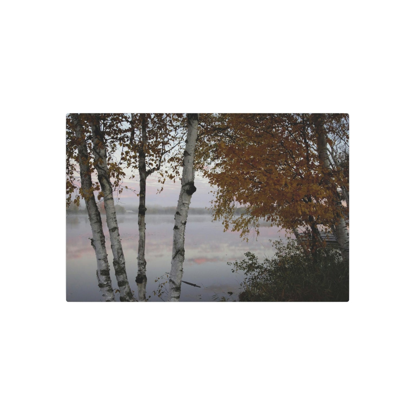 Metal Art Sign - River View White Birch